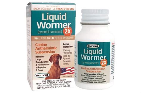 10 Best Dog Dewormer Medications 2022