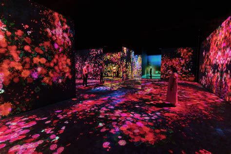 Flower Forest Lost Immersed And Reborn