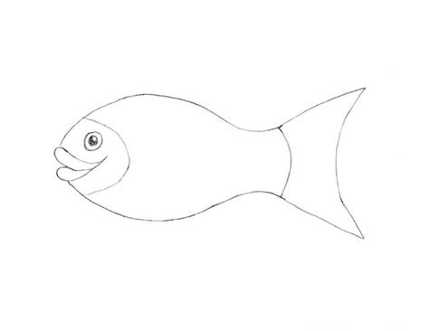 How To Draw A Fish Slideshow