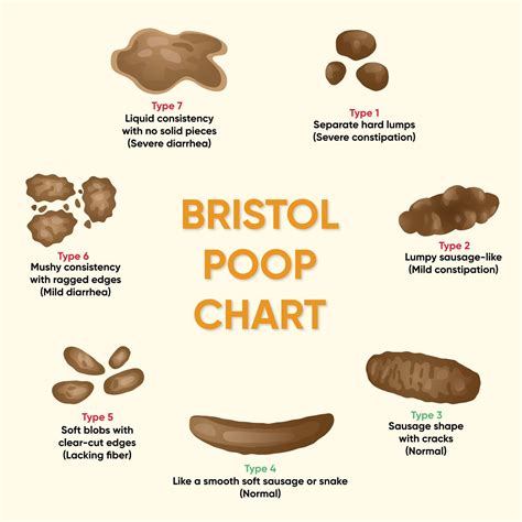 Different Ways To Poop