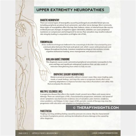 Upper Extremity Neuropathies Adult And Pediatric Printable Resources