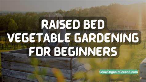 Raised Bed Vegetable Gardening Benefits Your Ultimate Guide To
