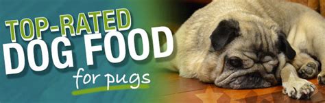 Below are some best food for pugs and a discussion of their nutritional needs. What Is The Best Dog Food for a Pug?