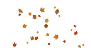 We regularly add new gif animations about and. Stock - falling leaves by Jassy2012 | Art and Design ...