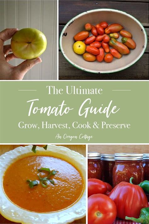 The Ultimate Tomato Guide To Grow Harvest Cook And Preserve
