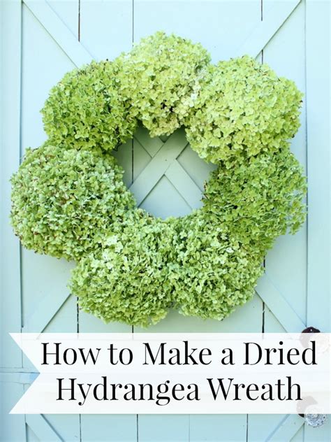 How To Make A Dried Hydrangea Wreath Daisymaebelle