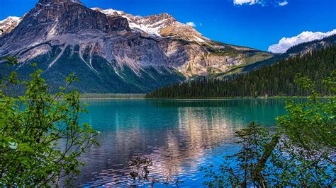 Emerald Lake Yoho National Park Reflection Canada British Columbia