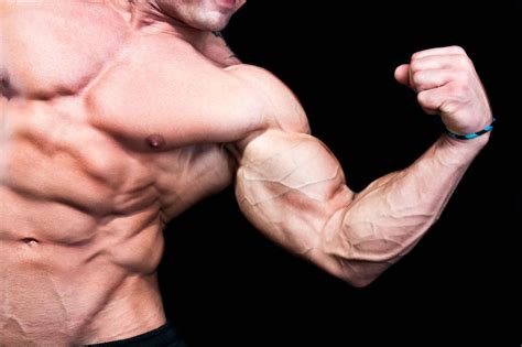 Πώς να αναπτύξεις τους μύες σου Μέρος 1ο Top Greek Gyms Bicep