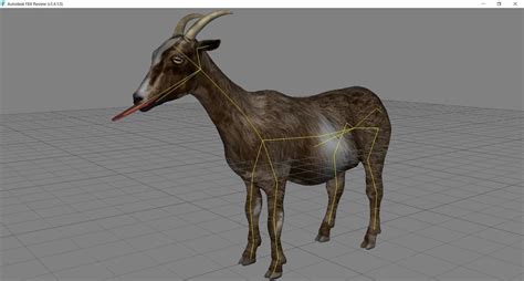 3d Animal Game Ready Goat Simul Cgtrader