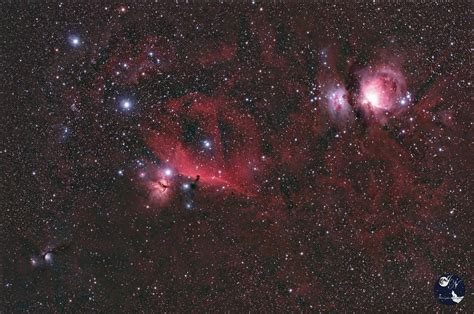 The Great Orion Nebula The Horsehead And Flame Nebula And M78 — Aapod2com
