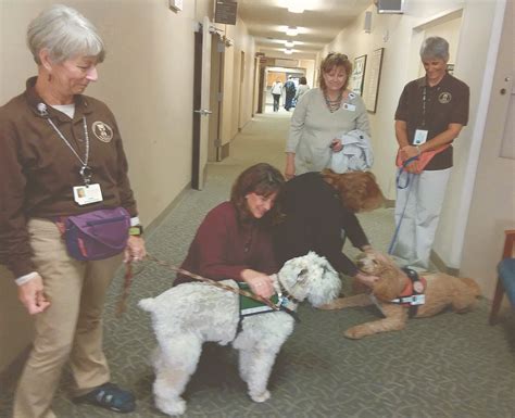 All About Pets Therapy Dogs Bring Lots And Lots Of Smiles The Daily