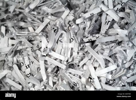 Paper Shredder Shredded Paper To Avoid Identity Theft Shredded Office