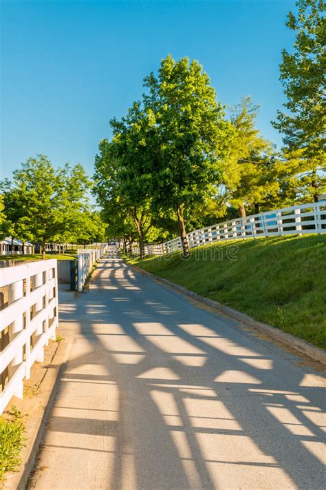 Country Road Surrounded The Horse Farms With Evening Fence Shadows