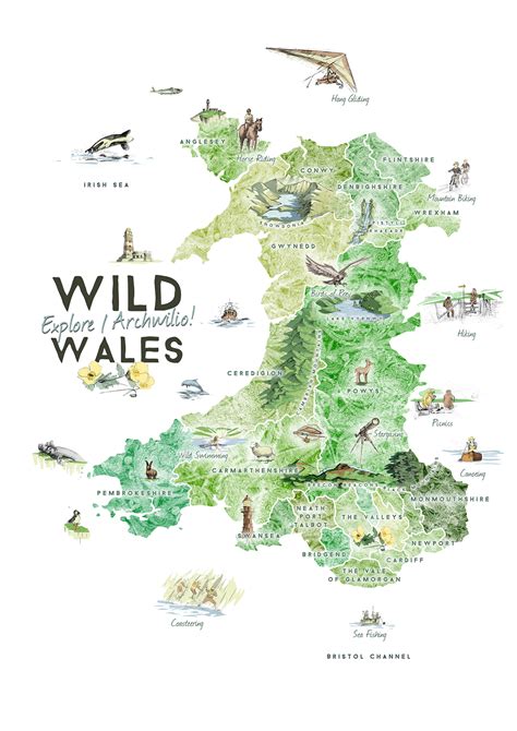 Using this detailed wales map, you can find your way around the country and locate streets. Wild Wales: Illustrated Map on Behance
