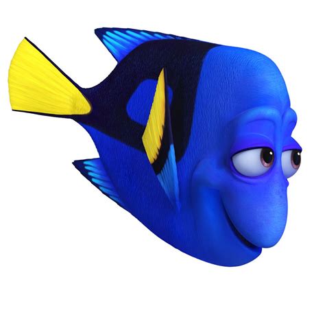 Charlie Finding Nemo Dory Characters Underwater Art Disney