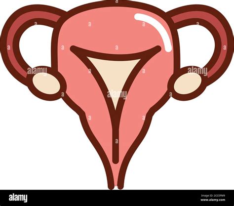Icono Del Sistema Reproductivo Femenino Estilo De Dibujos 58 OFF