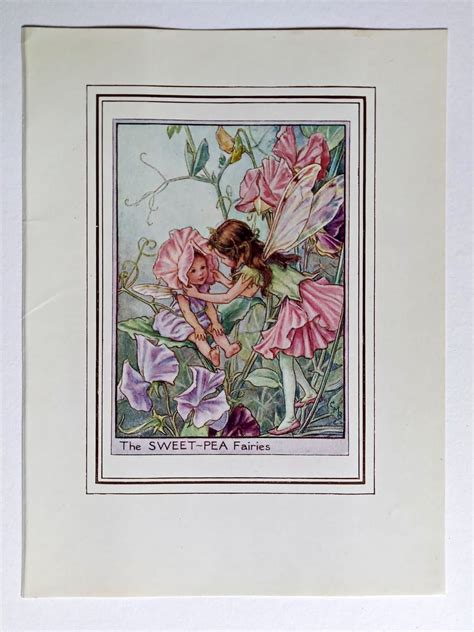 Sweet Pea Fairy Print Flower Fairy Prints