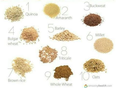 Learn Grain Names In English List Of Different Types Of Grains