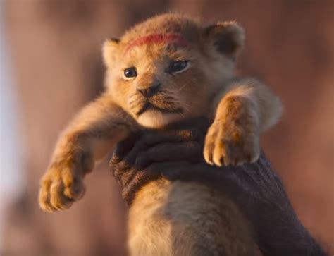 O Novo Trailer Do Live Action De O Rei Leão Está Fofíssimo Capricho