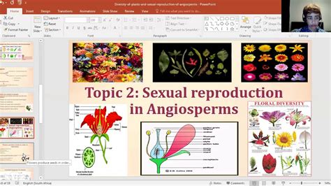 Grade 7 Ns Diversity Of Plants And Sexual Reproduction Of Angiosperms