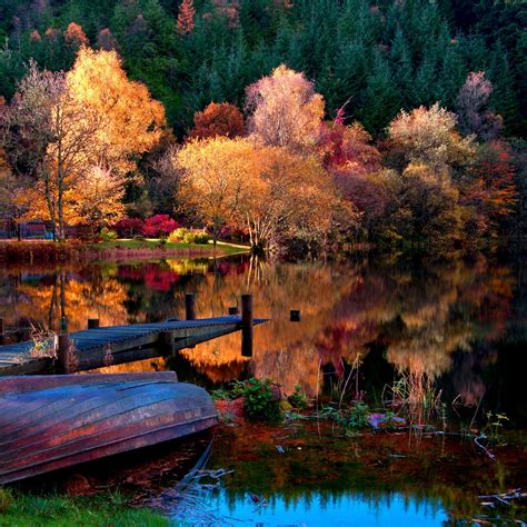 2048x2048 Wallpaper Boat Coast Bottom Autumn Lake Surface Trees Wood Reflection Colors
