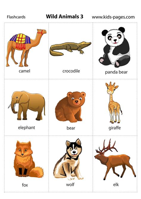 Wild Animals Animal Flashcards Animals Wild Kids English