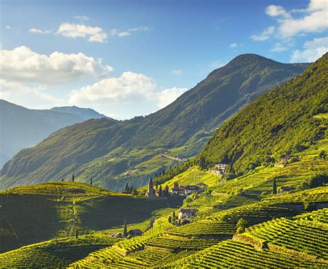 Trentino Alto Adige Wine Region Italy Winetourism