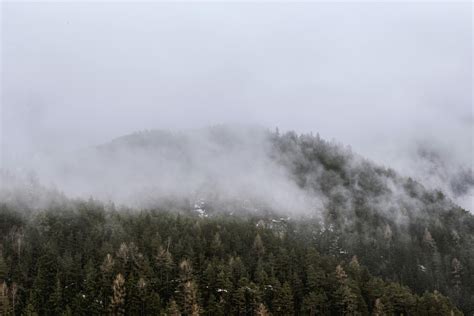 View Of Green Mountain Covered By Fog · Free Stock Photo