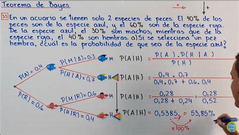 Ejemplo Teorema De Bayes En Teorema De Bayes Probabilidad Y Sexiz Pix