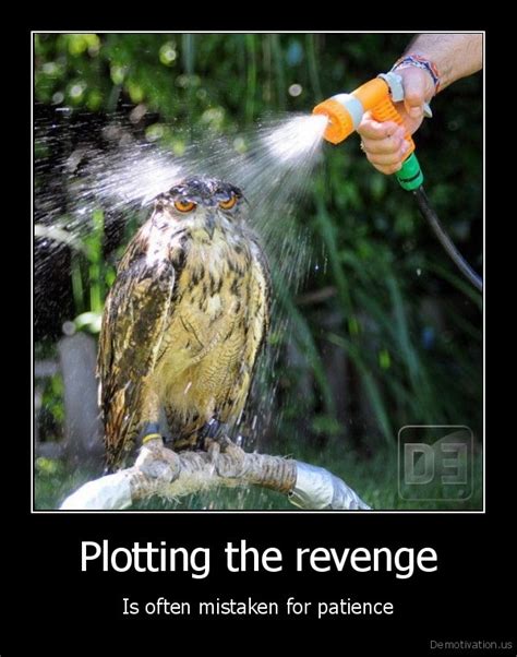 ﻿plotting The Revenge Is Often Mistaken For Patience Revenge