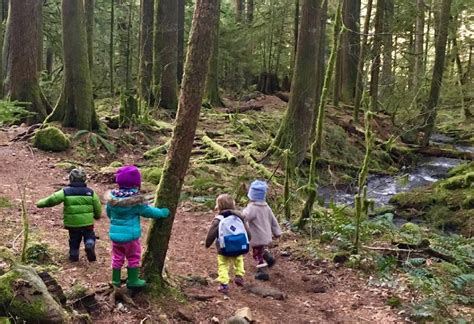 Over 50 Paths For Hiking With Children In The Black Forest Vlrengbr