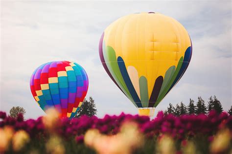 Two Assorted Color Hot Air Balloons · Free Stock Photo