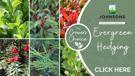 The Growers Choice | Johnsons of Whixley