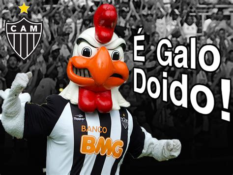 Atlético mineiro hail from the brazilian city of belo horizonte , the third largest municipal area in the country. galo de elite: galo doido