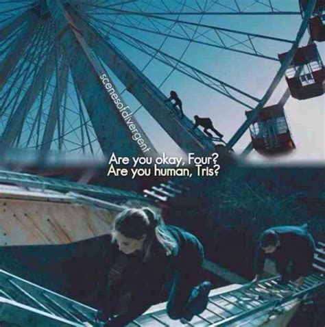 Ferris Wheel Divergent Divergent Book Series Divergent Fandom