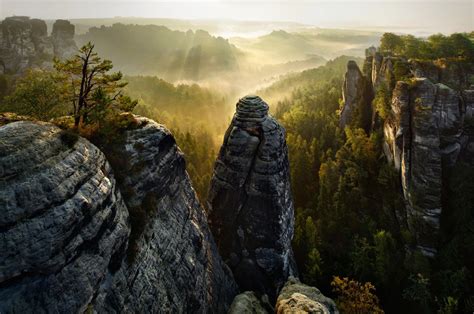 Rock Forest Germany Photo One Big Photo