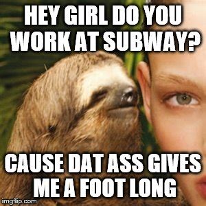 Whisper Sloth Meme Imgflip
