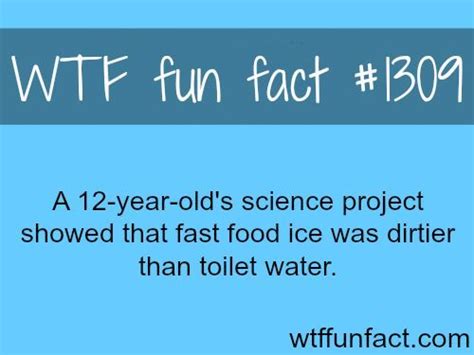 pin by jane vanzant on be safe wtf fun facts fun facts funny facts