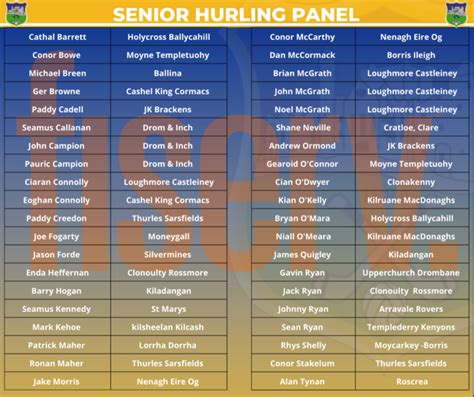 Senior Hurling Panel 5 768x644 