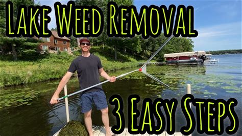 Lake Weed Removal How To Get Rid Of Lake Weeds In 3 Easy Steps Youtube