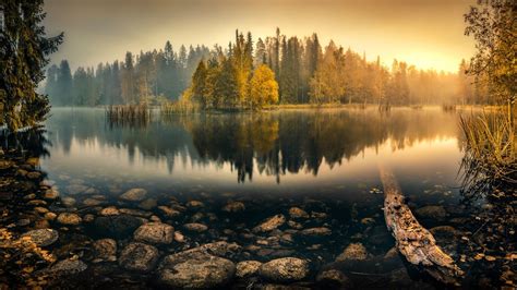 Amanecer Otoño Bosque Lago Naturaleza Paisaje Fondos De Pantalla Avance