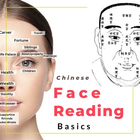 Chinese Face Reading Basics — Picture Healer Feng Shui And Fortune