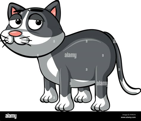 Sleepy Cat On White Background Illustration Stock Vector Image And Art