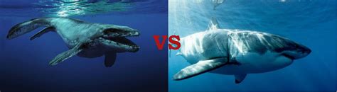 Mosasaurus vs dunkleosteus who would win? Megalodon vs Mosasaurus: Who would win? | Megalodon ...