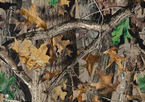 Find & download free graphic resources for camo. Reserva Cinegetica "Rancho San Carlos": Fotografias Cabezera