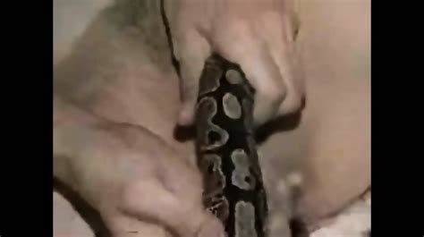 Naked Girl Fisting In A Naked Girl Pussy And A Nother Girl Puts A Snake