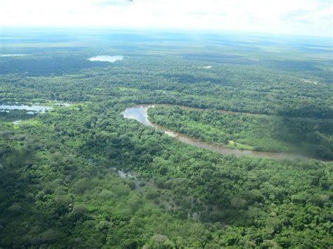O Ciclo Da Agua Na Amazonia Pode Influenciar Nos Ecossistemas