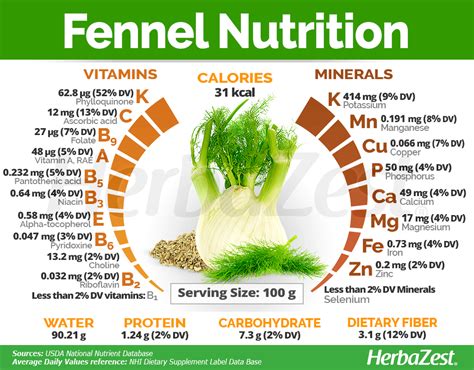 Health Benefits Of Fennel Seeds