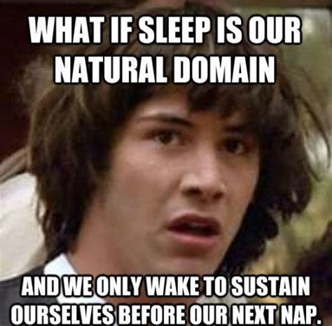Conspiracy Keanu Tales Of The Stoner Sage