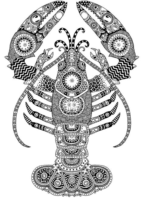 Lobster Zentangle Pen And Ink On Illustration Board Janelle Dimmett